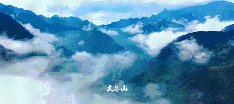 逃离奇幻仙境